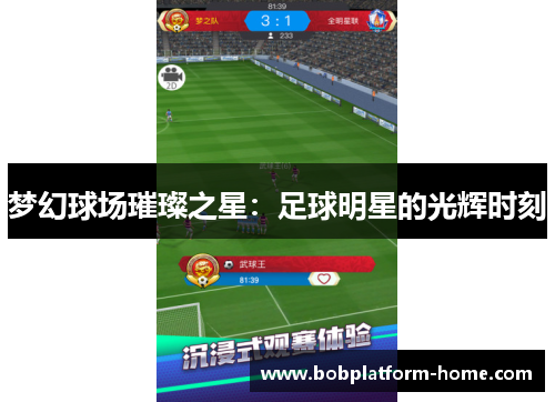 梦幻球场璀璨之星：足球明星的光辉时刻